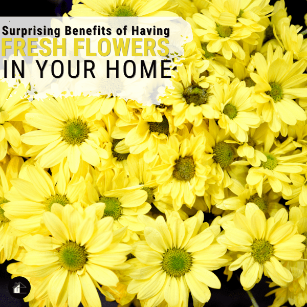 Surprising Benefits of Having Fresh Flowers in Your Home