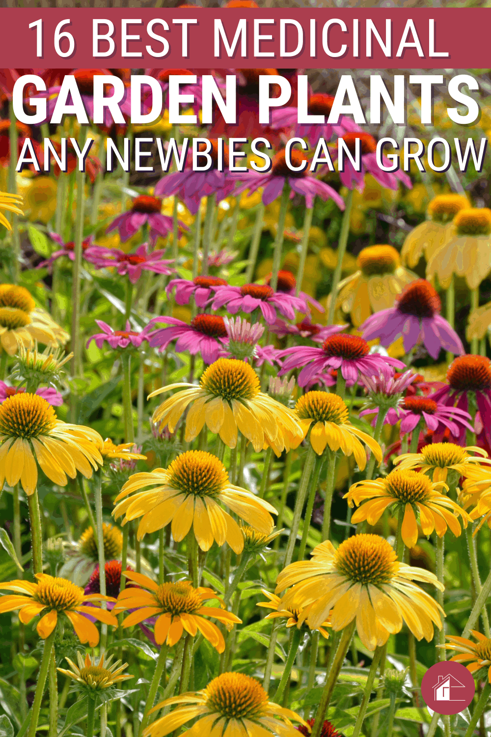 Any gardener would love to include medicinal plants in their garden. Hence, we look into some top medicinal garden plants that are easy to grow. via @mystayathome
