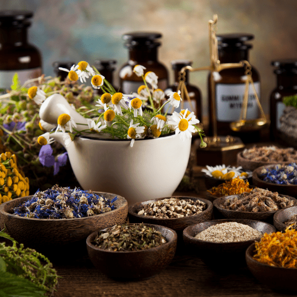 fresh medicinal herbs on wood.