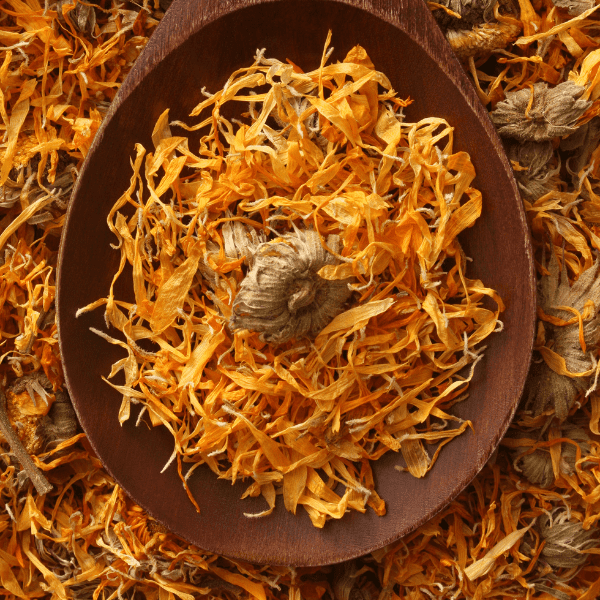 Dried Calendula in a bowl.