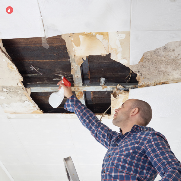 man cleaning mold on ceiling panel.