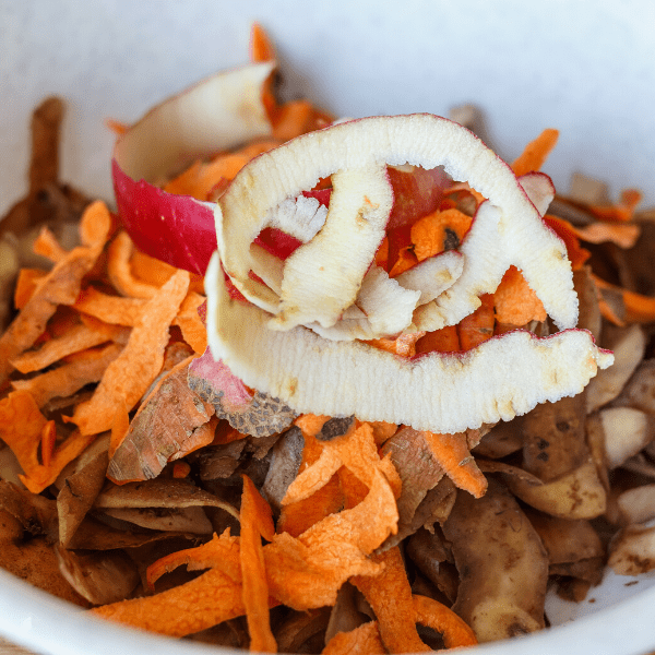 Fruits and vegetable scraps for compost recycling