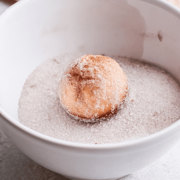 donut hole in sugar-cinnamon mix.