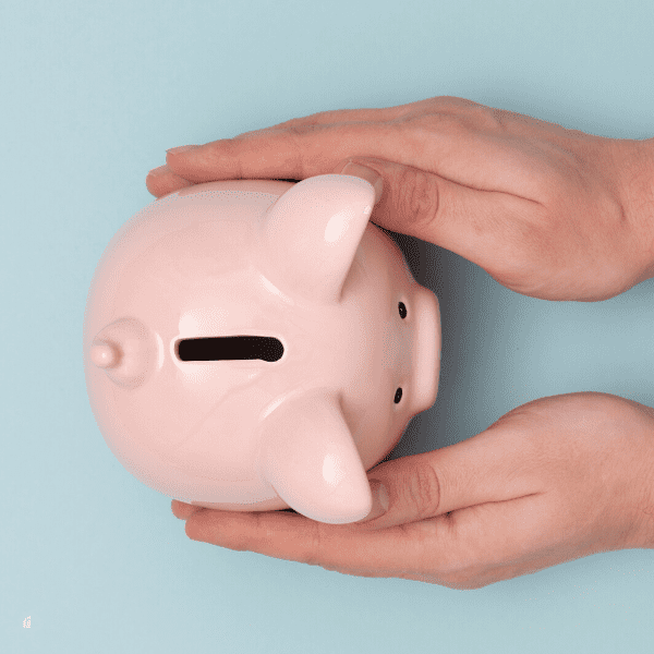 Budget, Money Savings Concept