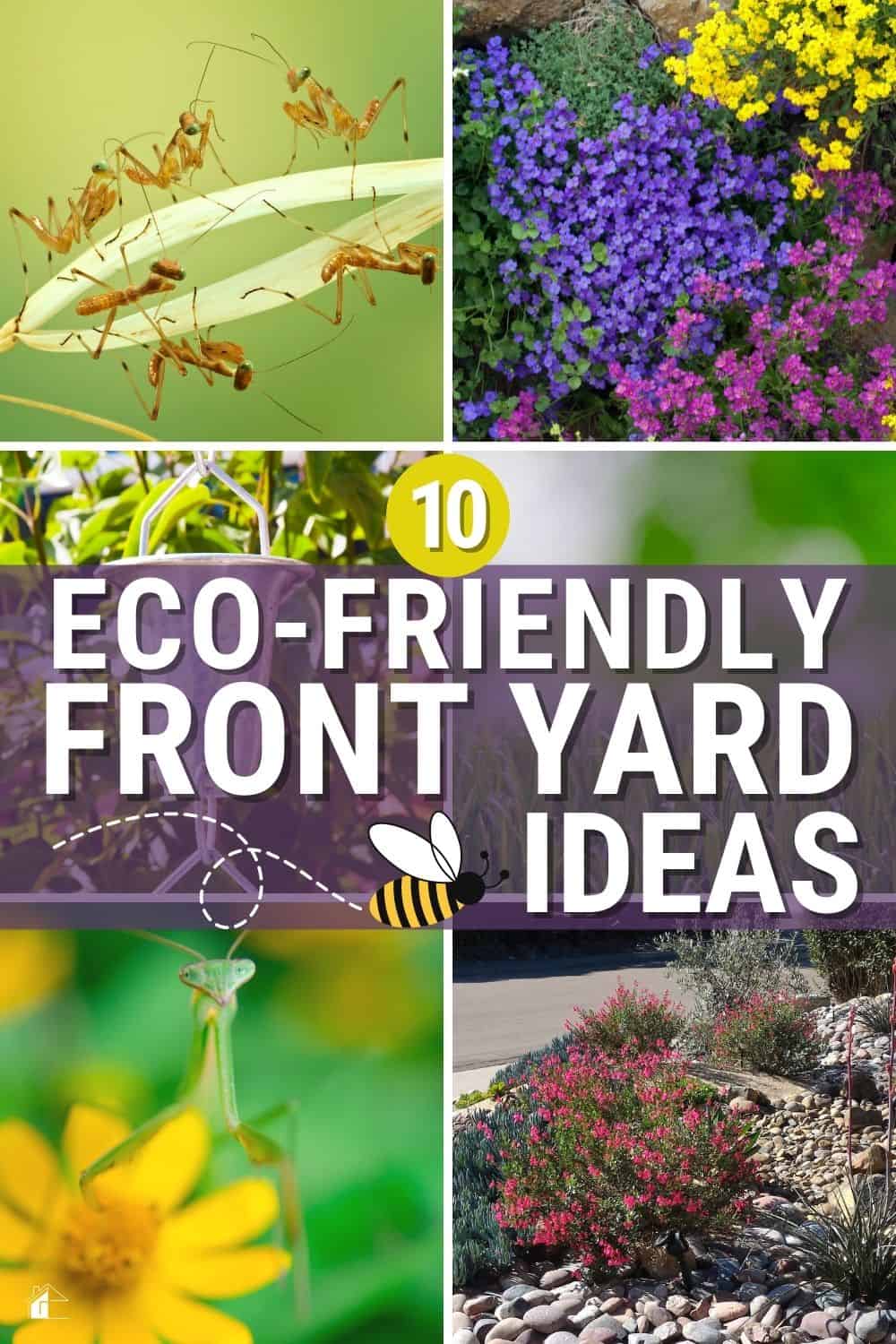 As a homeowner, you want your yard to look great, but you also want to make sure that you are environmentally responsible. So check out these eco-friendly front yard ideas to help you achieve both goals! via @mystayathome