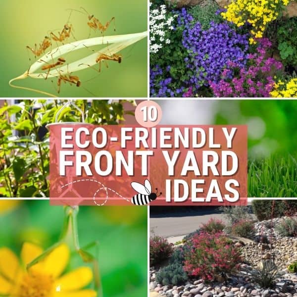 10 Front Yard Landscaping Ideas for the Eco-Friendly Homeowner