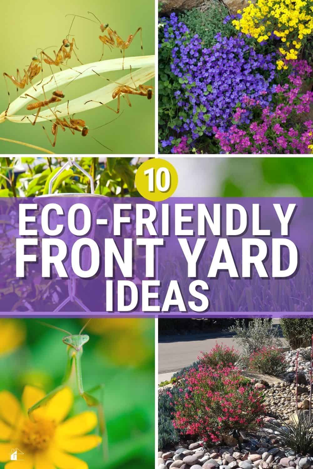 As a homeowner, you want your yard to look great, but you also want to make sure that you are environmentally responsible. So check out these eco-friendly front yard ideas to help you achieve both goals! via @mystayathome