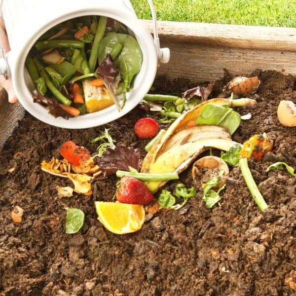 Throwing food scraps into a compost bin.