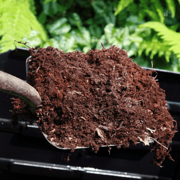 Hand Holding Shovel Full of Compost.