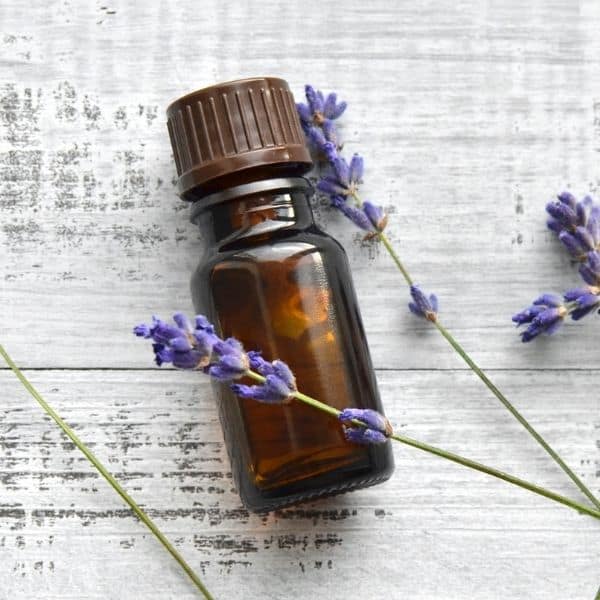 Lavender Essential Oil