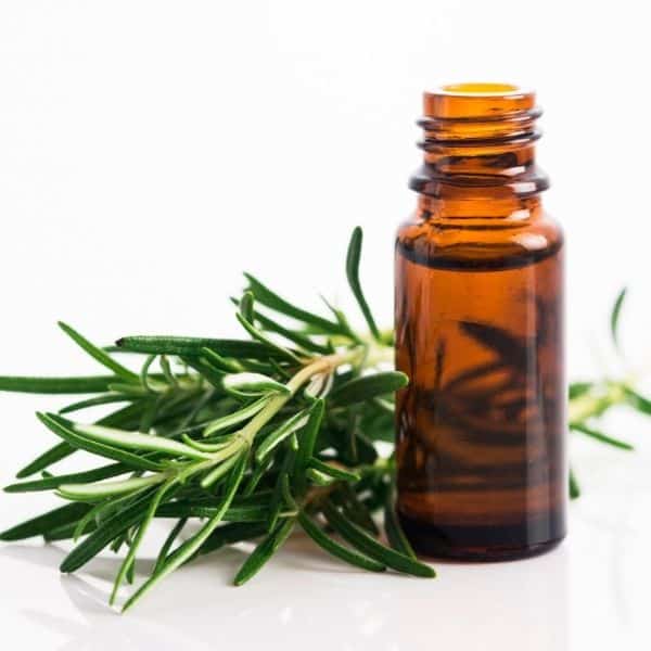 Rosemary essential oil 