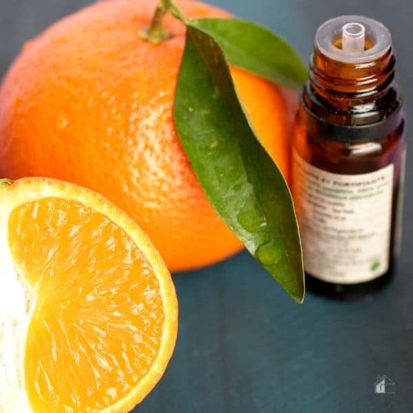 Tangerine essential oil next to two tangerines.