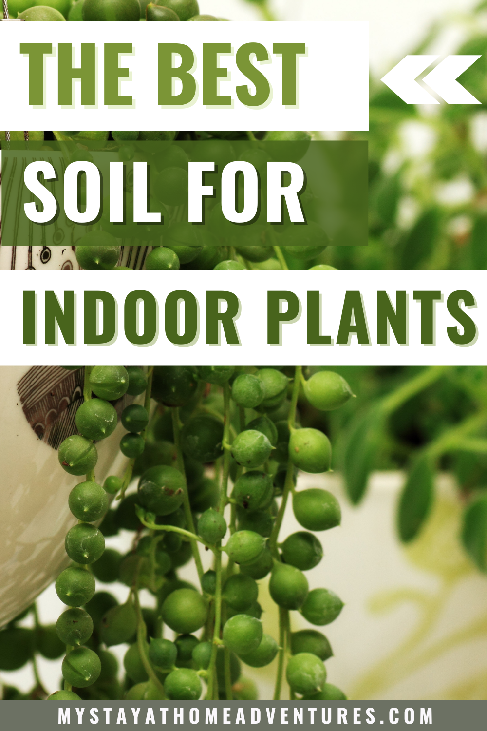 Wondering what the best soil for indoor plants is? Look no further! This article will tell you everything you need to know about potting mix and how to create the perfect environment for your houseplants. via @mystayathome