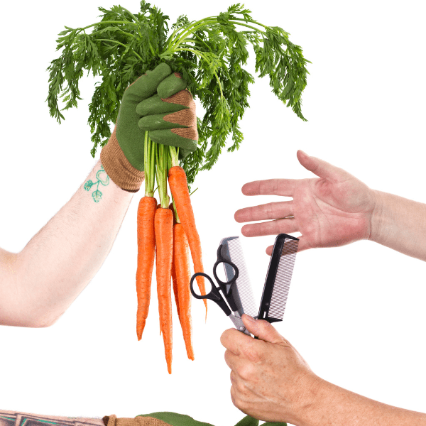 Exchanging haircut for carrots.