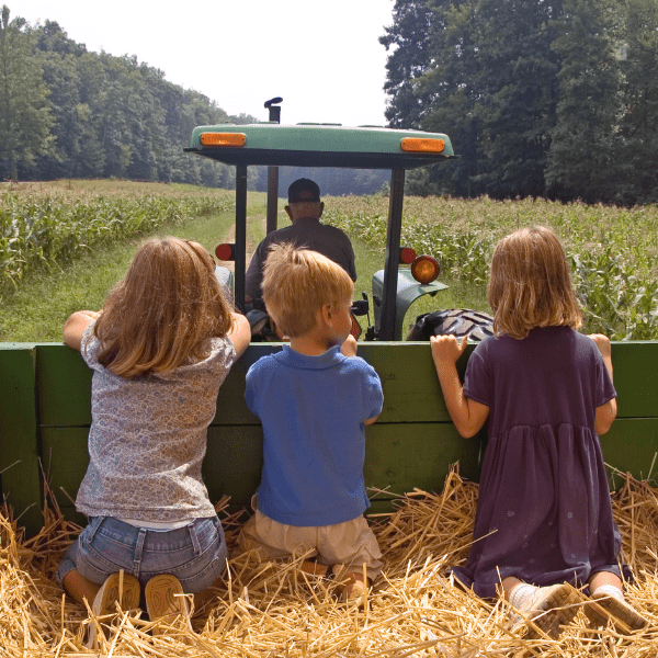 Tractor full of hay pulling three little kids in it.