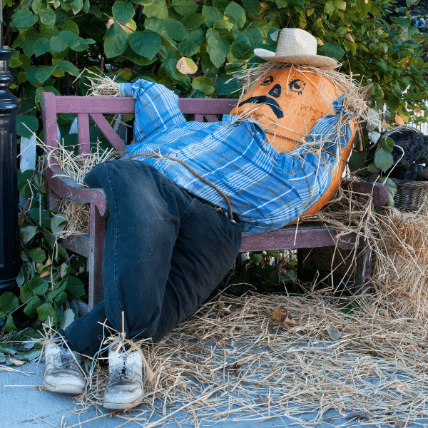 Scarecrow sitting on a bench.