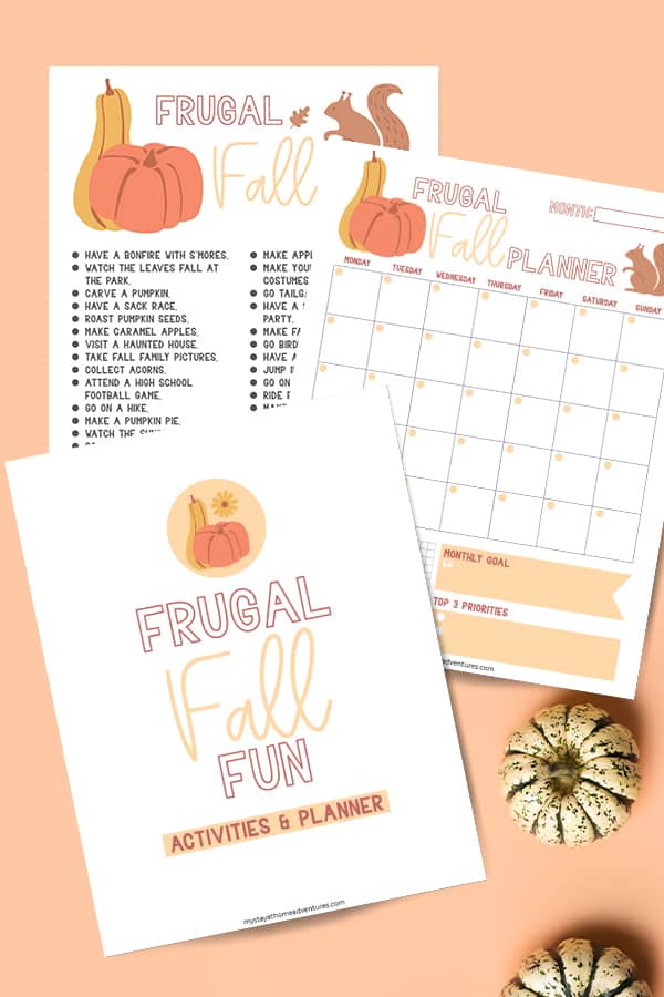 We've got some of the best frugal, fun fall activities for families. Find out how you can have a fun and meaningful Fall with your family this year! via @mystayathome