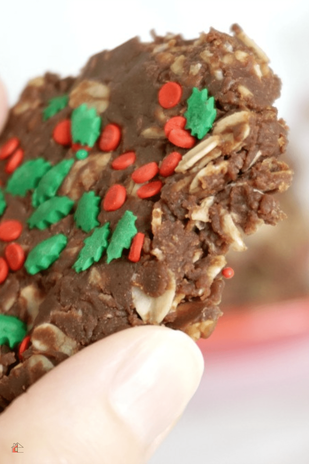 No Bake Nutella Christmas Cookies * My Stay At Home Adventures