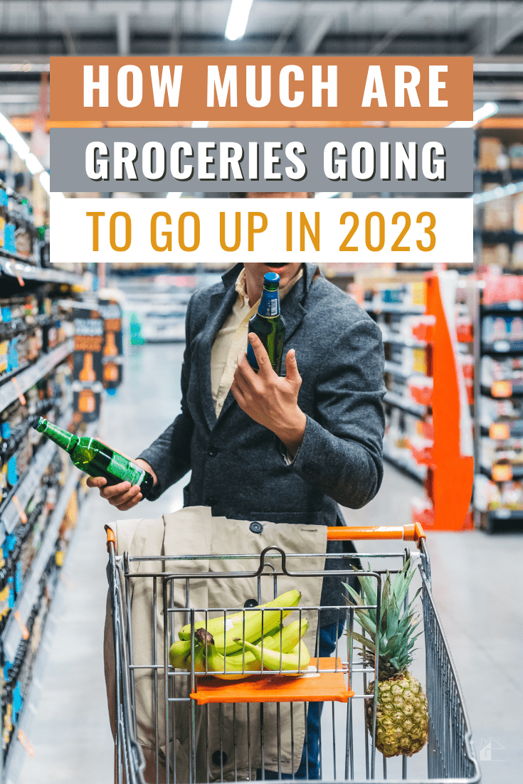 Are you worried about the rising cost of groceries? We'll look at how much groceries are going up and what that means for your wallet. via @mystayathome