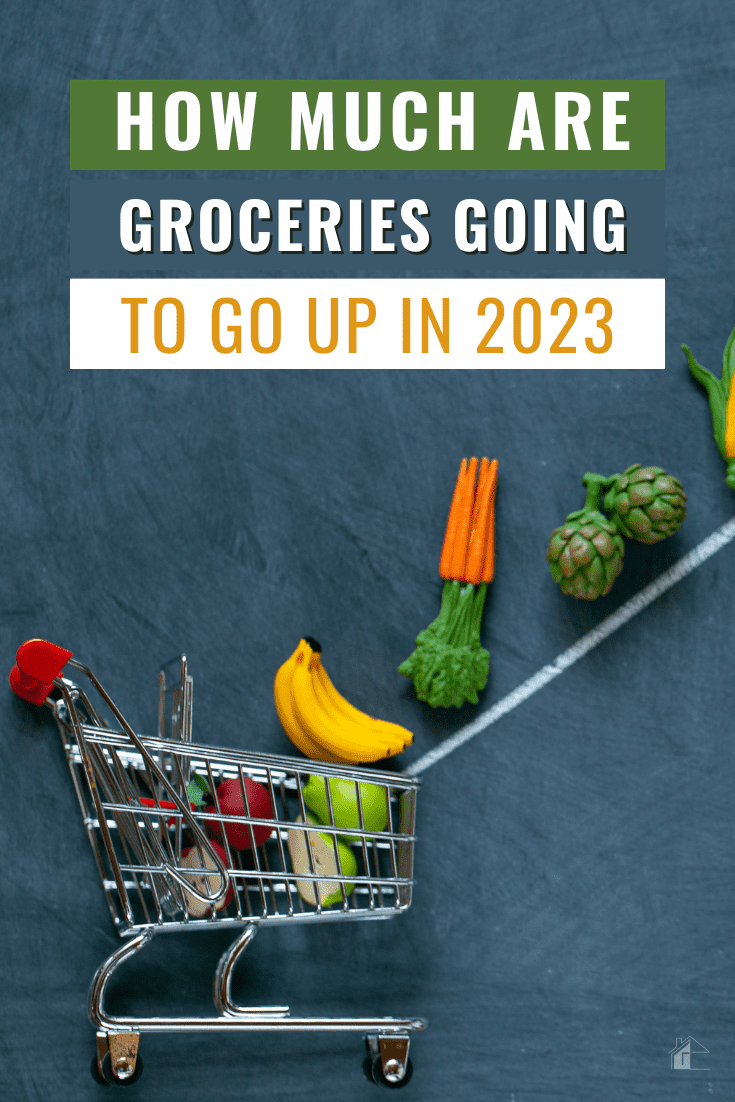 Are you worried about the rising cost of groceries? We'll look at how much groceries are going up and what that means for your wallet. via @mystayathome