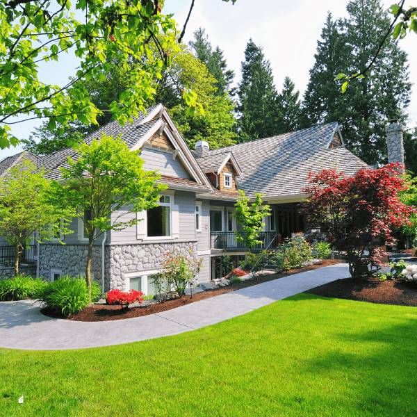front yard landscape with different trees.