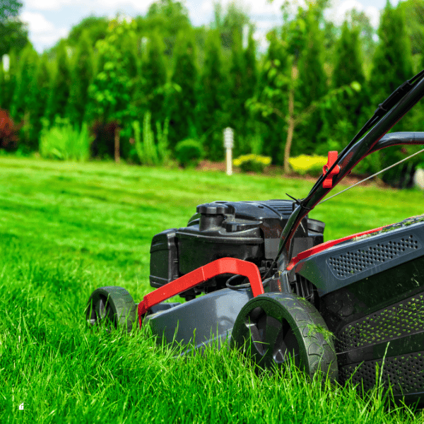 Lawn mower cutting tall green grass.