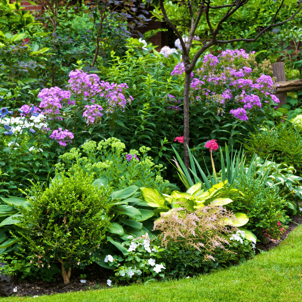 Lush landscaped garden with flowerbed and colorful plants.