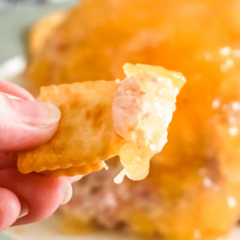 Woman hands holding a chip with ham pineapple dip.