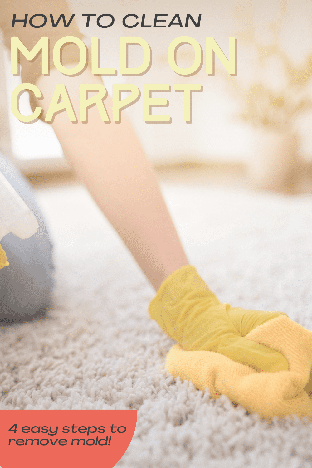 Can You Kill Mold on Carpet? * My Stay At Home Adventures