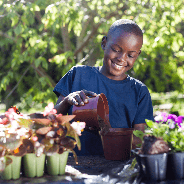 What Are The Benefits of Growing Flowers?