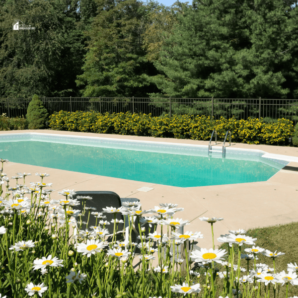 Backyard pool with shasta daisies in foreground