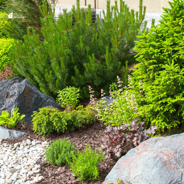 landscaping in home garden