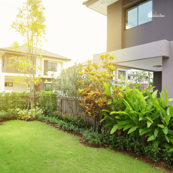 Best Landscaping Plants for Yards Planting Tips and Ideas