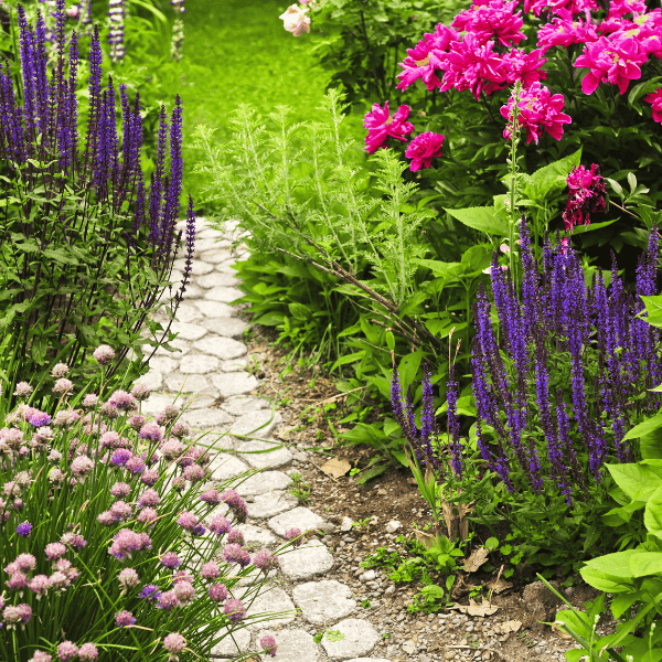 lush blooming summer garden with paved path.