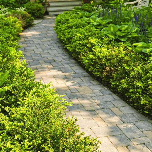 stone path in home garden