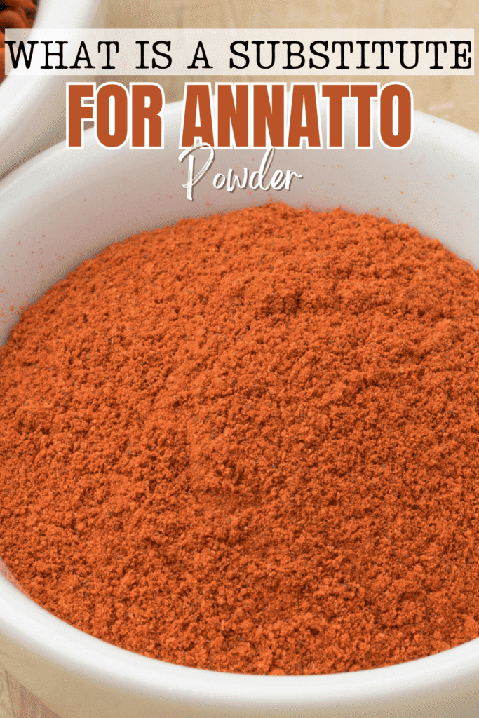 Bowl with dried Annatto seeds and a bowl with ground annatto powder close up with text that says what is a substitute for annatto powder