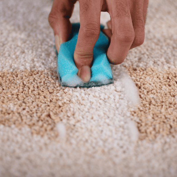 hand removing stain from carpet using a blue sponge.