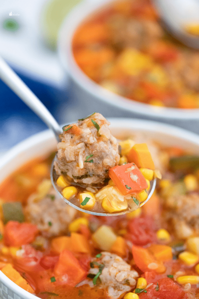 a close up image of Mexican Meatball Soup 