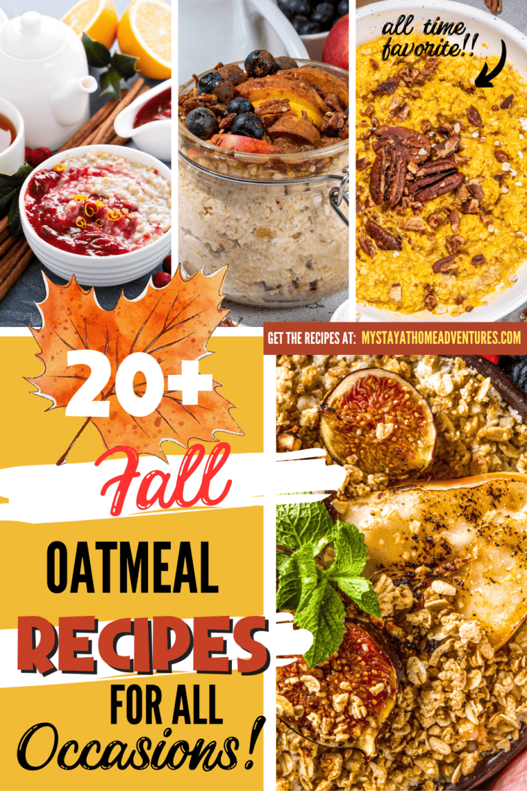 20 of the Best Fall Oatmeal Recipes