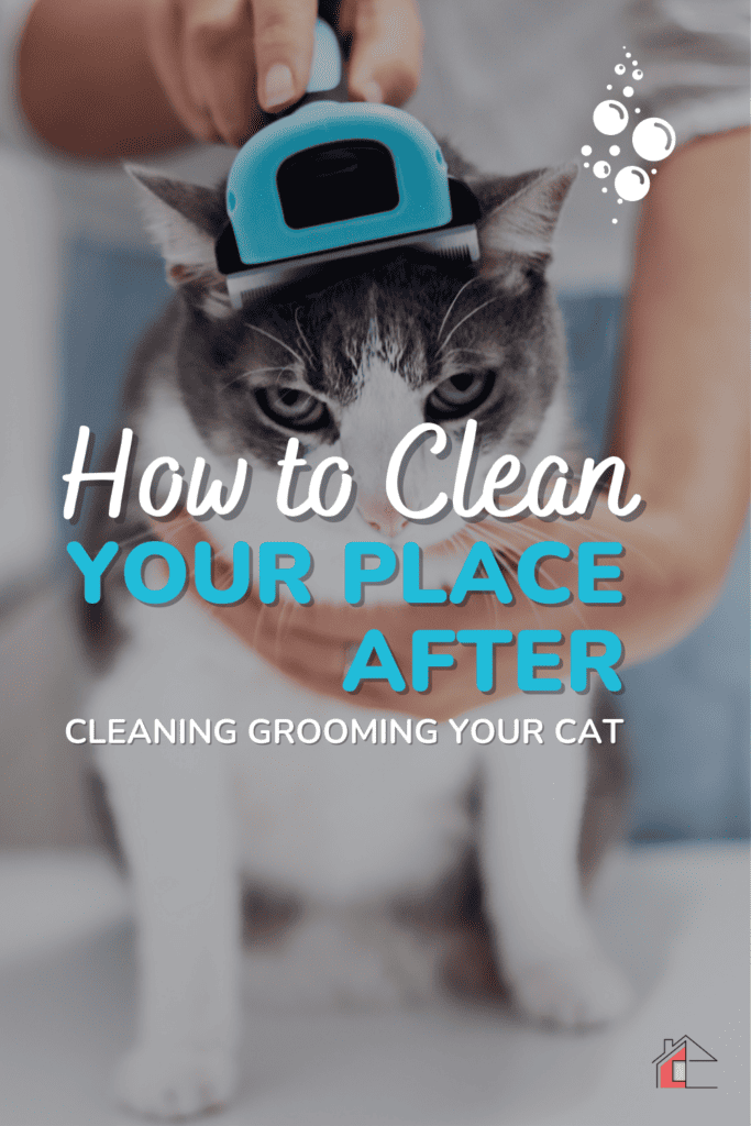 Close up of Cat being groomed by woman in the kitchen with overlayed text: How to clena your place after grooming your cat.