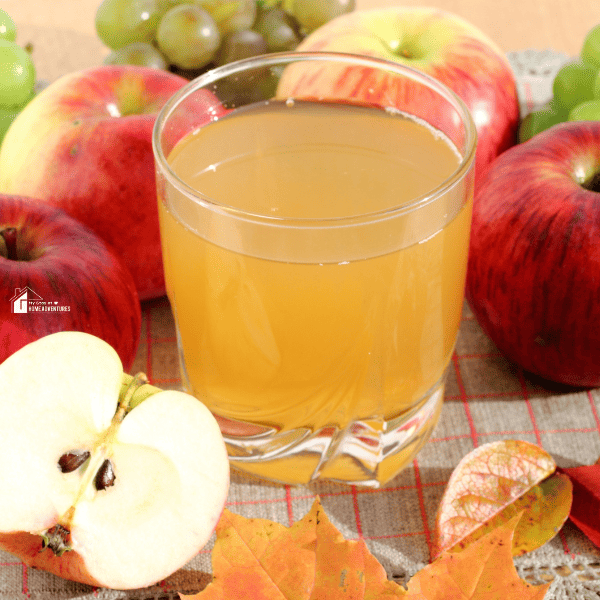 an image of apple juice with fresh apples around it