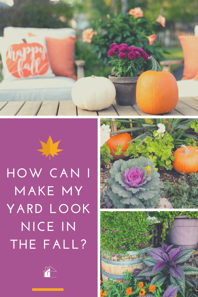 Collages of fall outdoor plants and pumpking with text: How Can I Make My Yard Look Nice In The Fall?