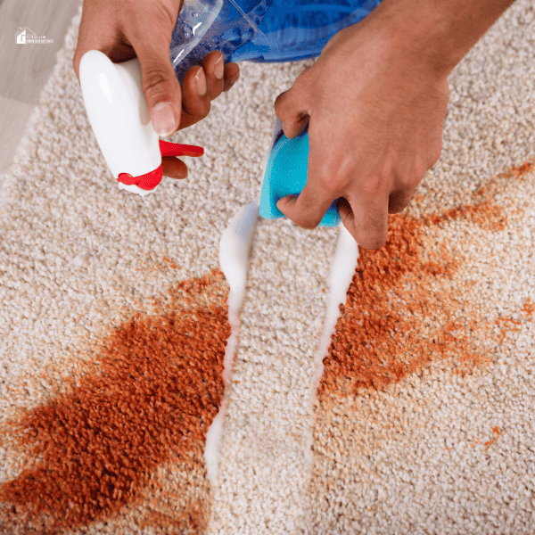 an elevated view of a person cleaning a carpet stain