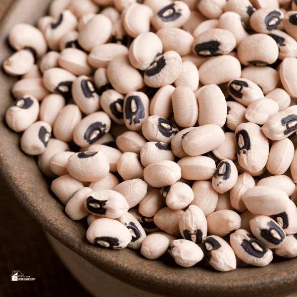 an image of black eyed bean