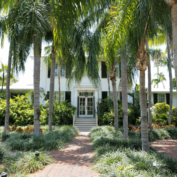 trees in front of a house