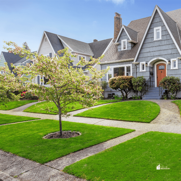 a house with a tree in front