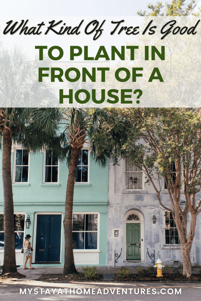 trees in a house with text: 'What Kind Of Tree Is Good To Plant In Front Of A House"