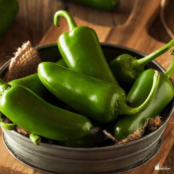 An image of jalapeno peppers.