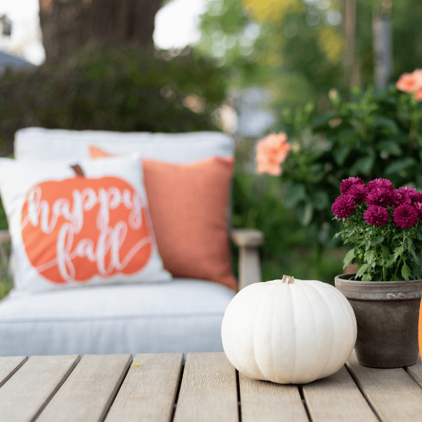 fall decoration in the backyard.