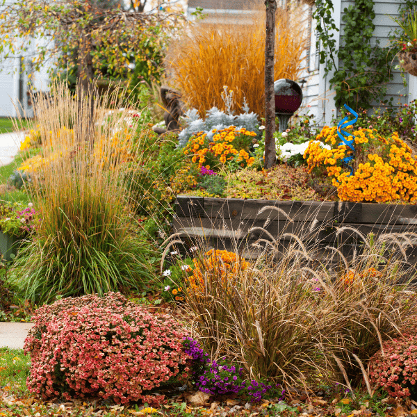 Lawn decor with mums and bird bath